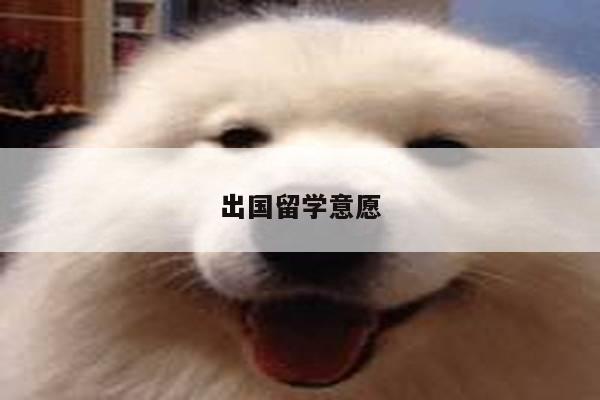 出国留学意愿