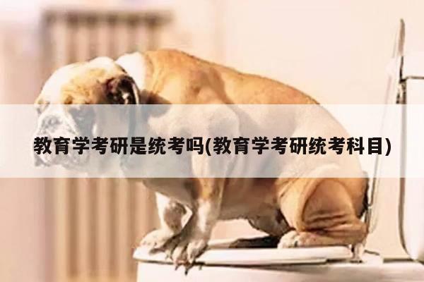 教育学考研是统考吗(教育学考研统考科目)