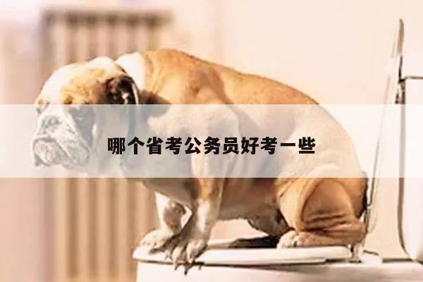 哪个省考公务员好考一些