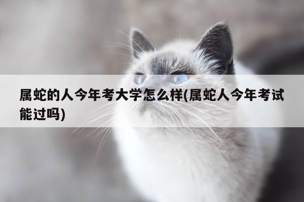 属蛇的人今年考大学怎么样(属蛇人今年考试能过吗)