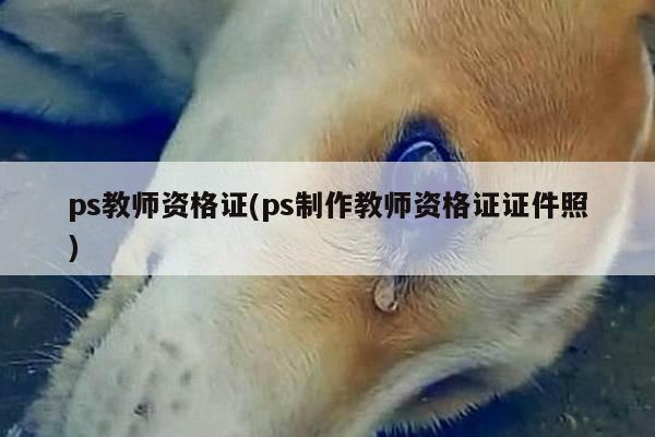 ps教师资格证(ps制作教师资格证证件照)