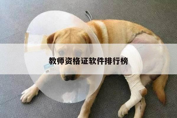 教师资格证软件排行榜