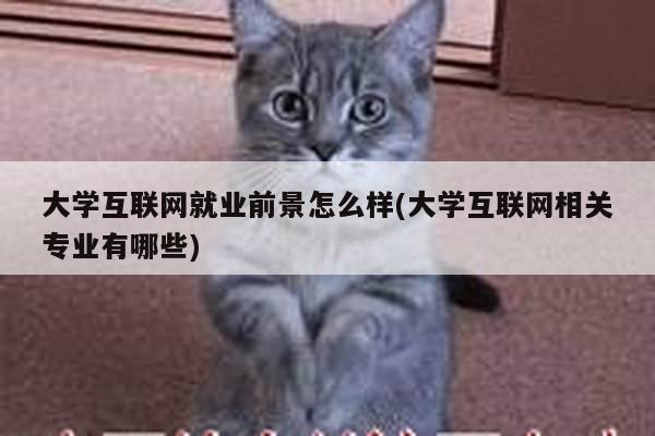 大学互联网就业前景怎么样(大学互联网相关专业有哪些)