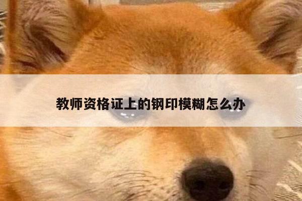教师资格证上的钢印模糊怎么办