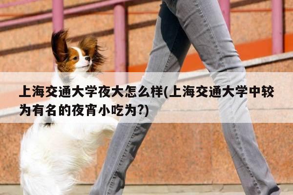 上海交通大学夜大怎么样(上海交通大学中较为有名的夜宵小吃为?)