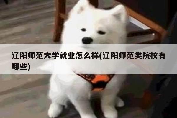 辽阳师范大学就业怎么样(辽阳师范类院校有哪些)