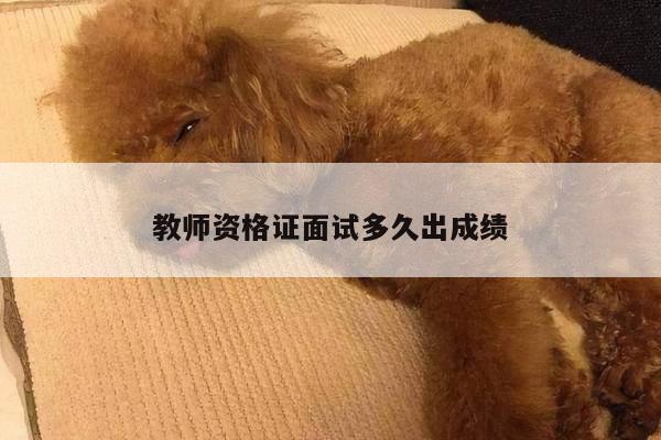 教师资格证面试多久出成绩