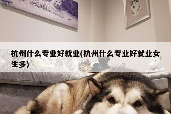 杭州什么专业好就业(杭州什么专业好就业女生多)