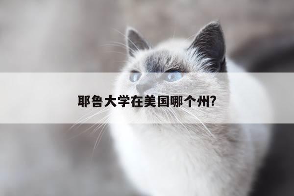耶鲁大学在美国哪个州?