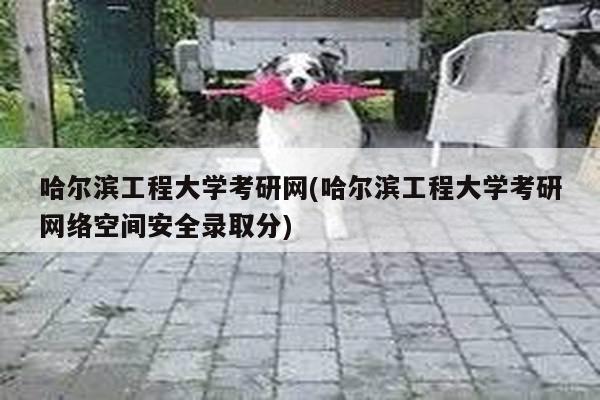 哈尔滨工程大学考研网(哈尔滨工程大学考研网络空间安全录取分)