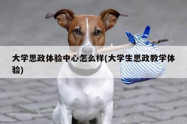 大学思政体验中心怎么样(大学生思政教学体验)