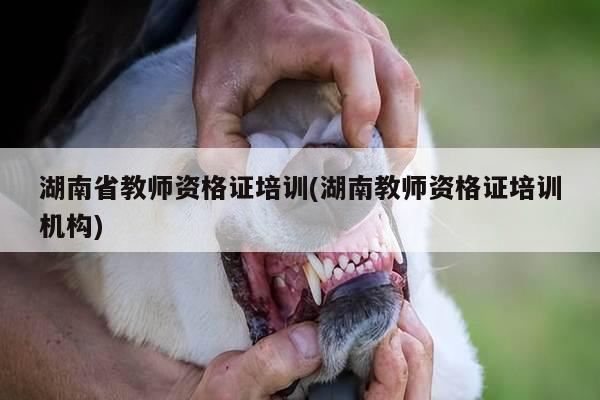 湖南省教师资格证培训(湖南教师资格证培训机构)