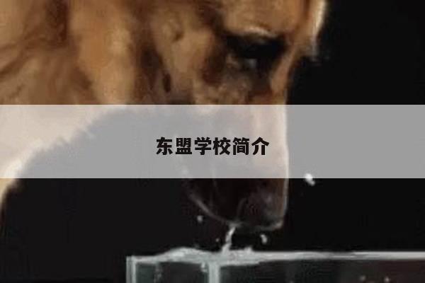 东盟学校简介
