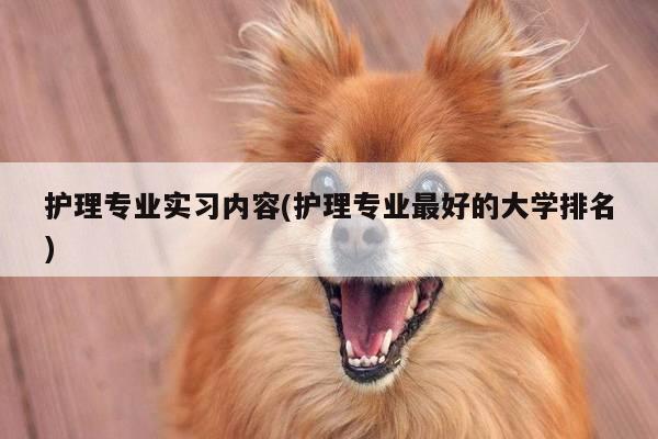 护理专业实习内容(护理专业最好的大学排名)