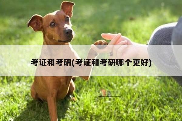 考证和考研(考证和考研哪个更好)