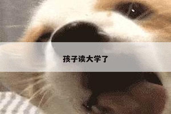 孩子读大学了