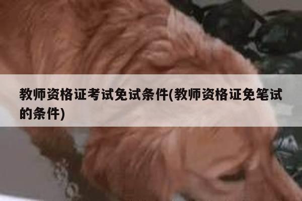 教师资格证考试免试条件(教师资格证免笔试的条件)