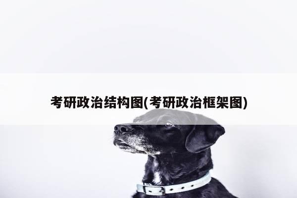 考研政治结构图(考研政治框架图)