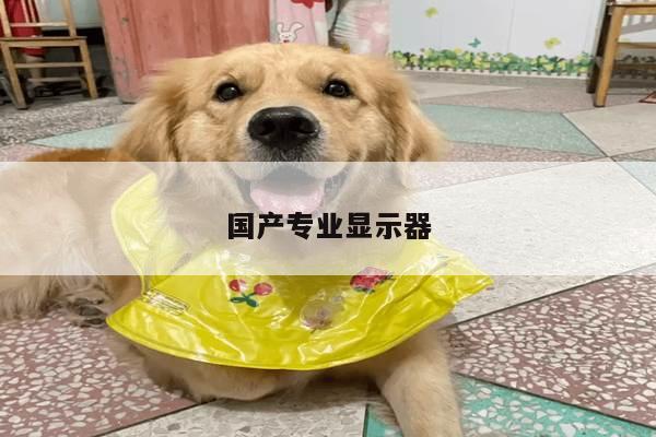 国产专业显示器