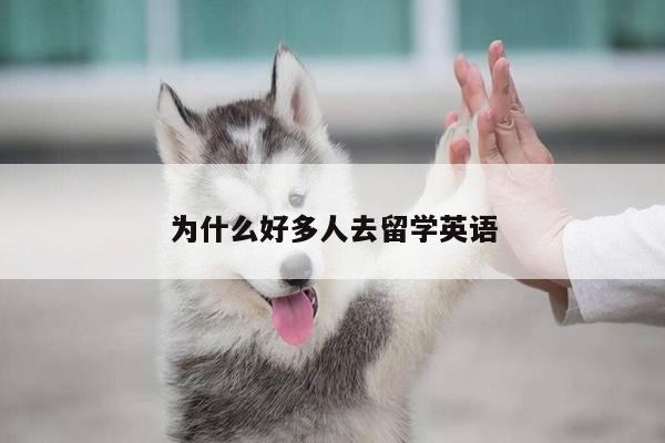 为什么好多人去留学英语