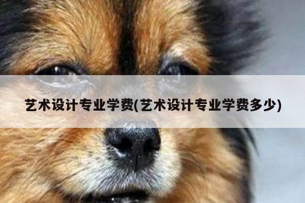 艺术设计专业学费(艺术设计专业学费多少)