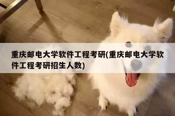 重庆邮电大学软件工程考研(重庆邮电大学软件工程考研招生人数)