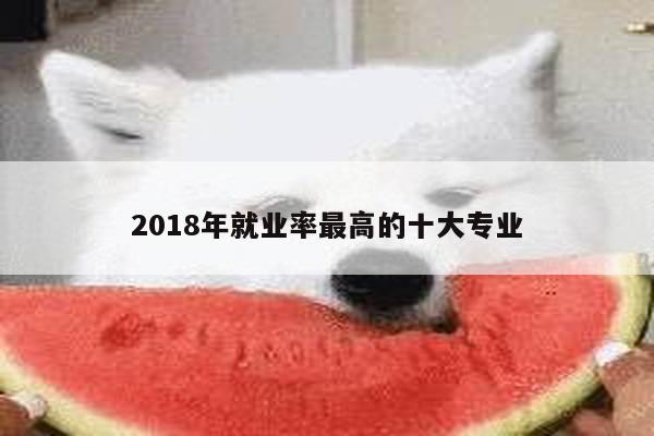 2018年就业率最高的十大专业