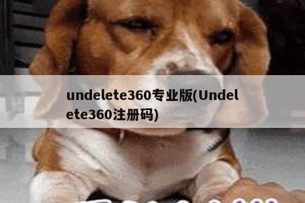 undelete360专业版(Undelete360注册码)