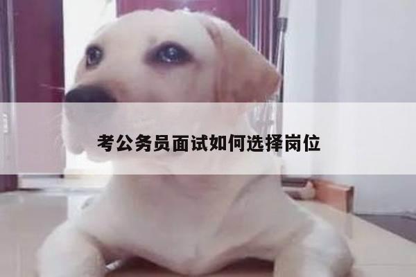考公务员面试如何选择岗位