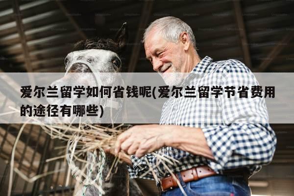 爱尔兰留学如何省钱呢(爱尔兰留学节省费用的途径有哪些)