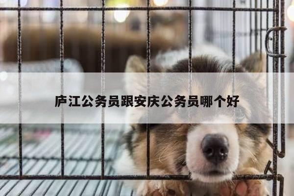 庐江公务员跟安庆公务员哪个好
