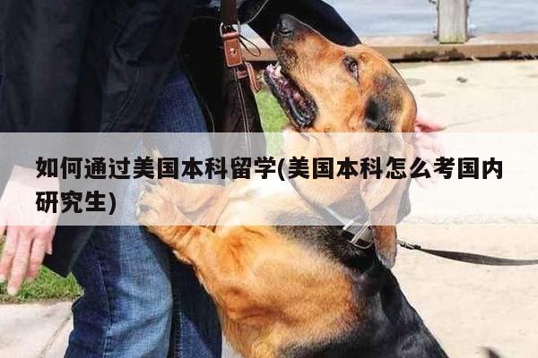 如何通过美国本科留学(美国本科怎么考国内研究生)