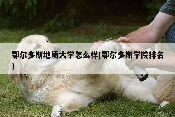 鄂尔多斯地质大学怎么样(鄂尔多斯学院排名)