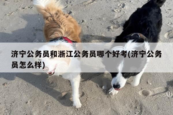 济宁公务员和浙江公务员哪个好考(济宁公务员怎么样)