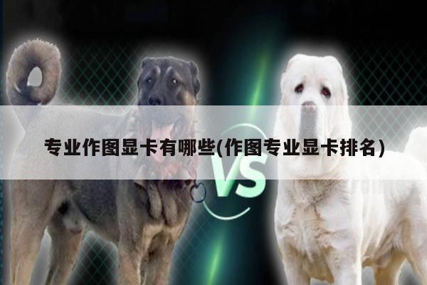 专业作图显卡有哪些(作图专业显卡排名)