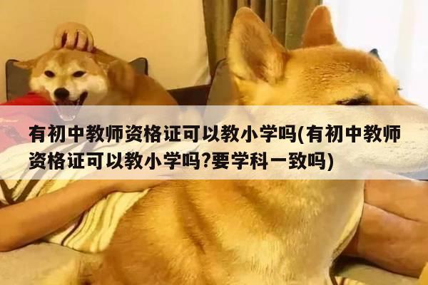 有初中教师资格证可以教小学吗(有初中教师资格证可以教小学吗?要学科一致吗)