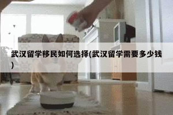 武汉留学移民如何选择(武汉留学需要多少钱)
