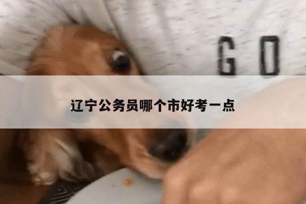 辽宁公务员哪个市好考一点