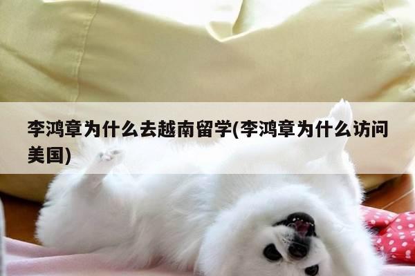 李鸿章为什么去越南留学(李鸿章为什么访问美国)