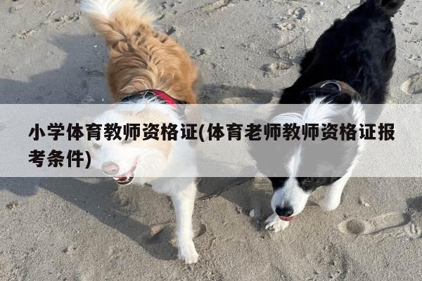 小学体育教师资格证(体育老师教师资格证报考条件)