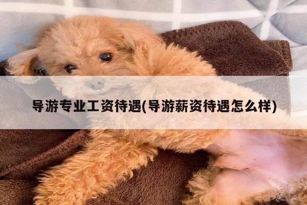 导游专业工资待遇(导游薪资待遇怎么样)