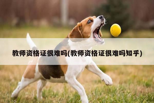 教师资格证很难吗(教师资格证很难吗知乎)