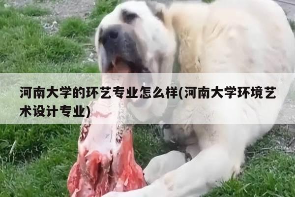 河南大学的环艺专业怎么样(河南大学环境艺术设计专业)
