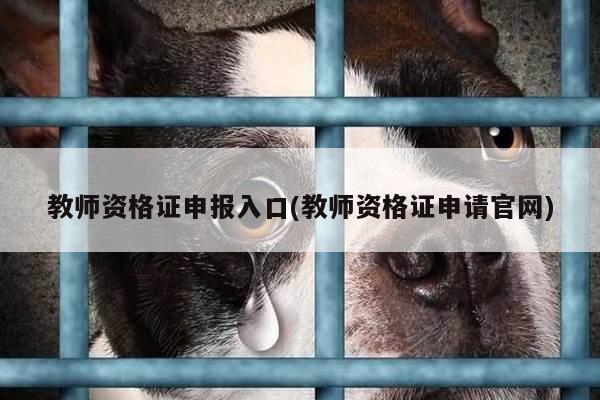 教师资格证申报入口(教师资格证申请官网)
