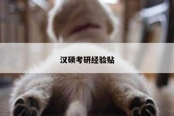 汉硕考研经验贴