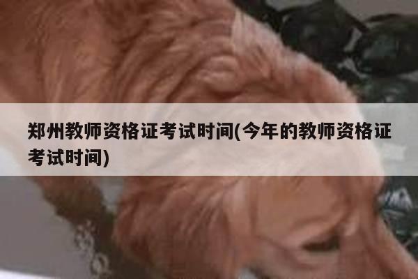 郑州教师资格证考试时间(今年的教师资格证考试时间)