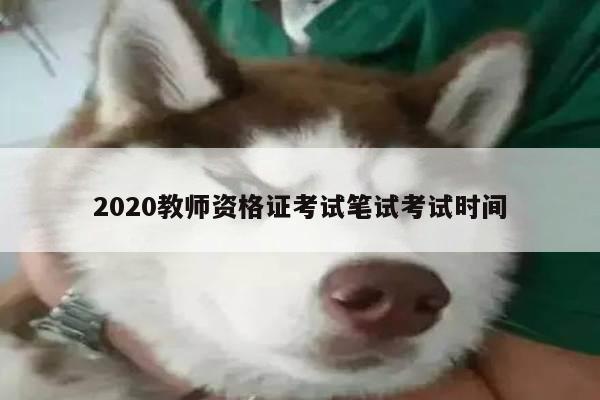 2020教师资格证考试笔试考试时间