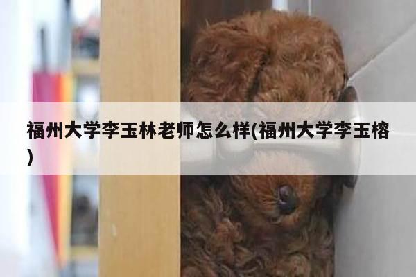 福州大学李玉林老师怎么样(福州大学李玉榕)