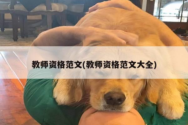 教师资格范文(教师资格范文大全)