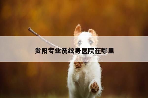 贵阳专业洗纹身医院在哪里